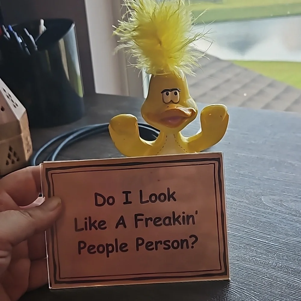 Duck Table Sign - Picture 2 of 2